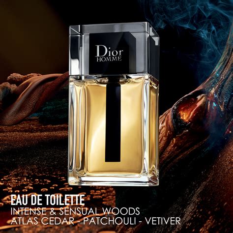 cravate homme dior|Dior Homme, eau de toilette pour homme entre force.